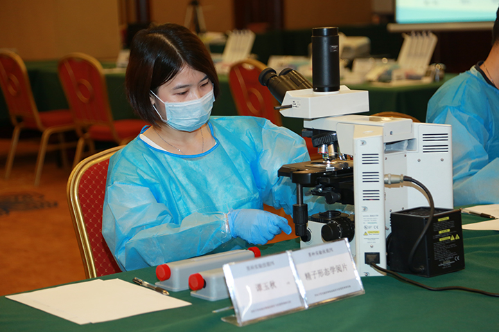 开云体云app官网入口