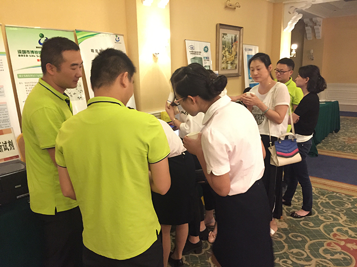 开云体云app官网入口