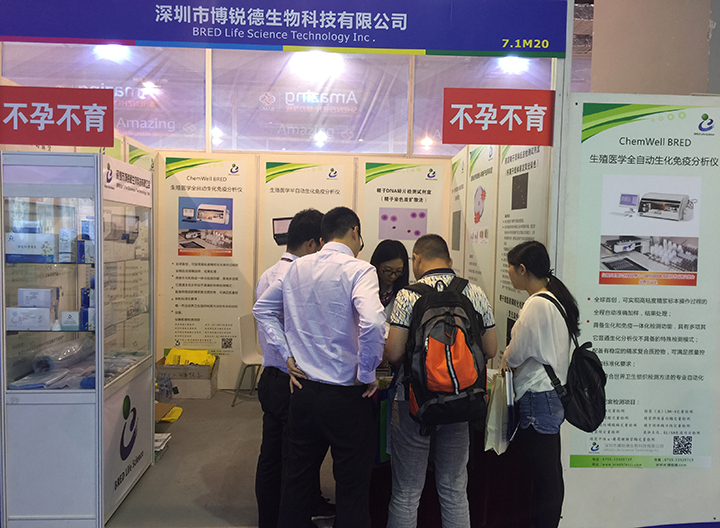 开云体云app官网入口