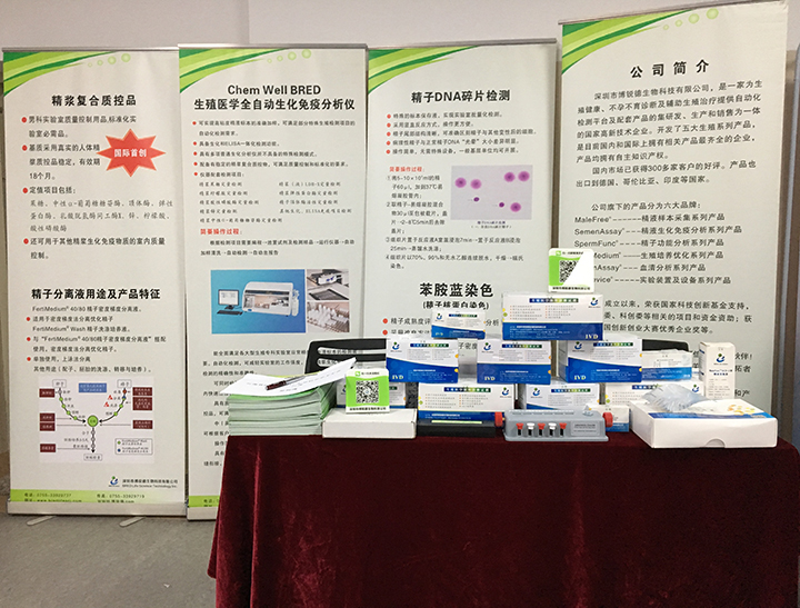 开云体云app官网入口