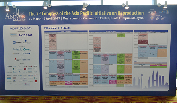 开云体云app官网入口