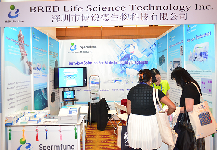 开云体云app官网入口