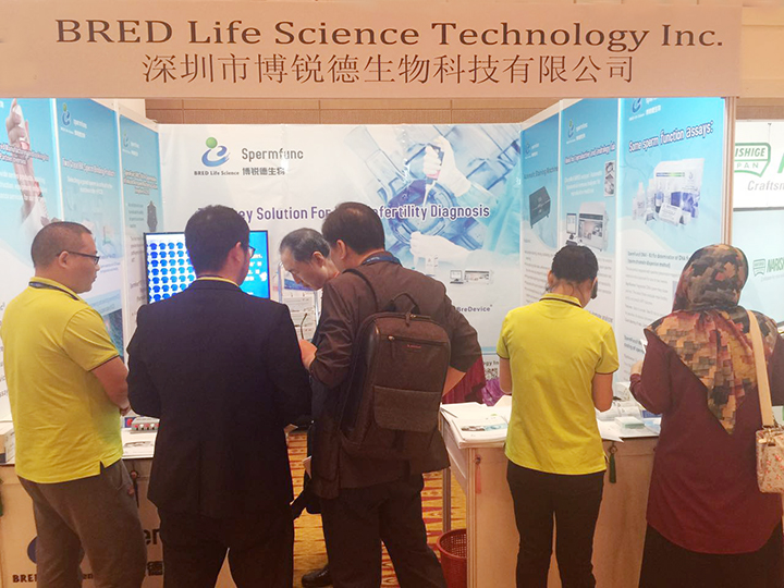 开云体云app官网入口