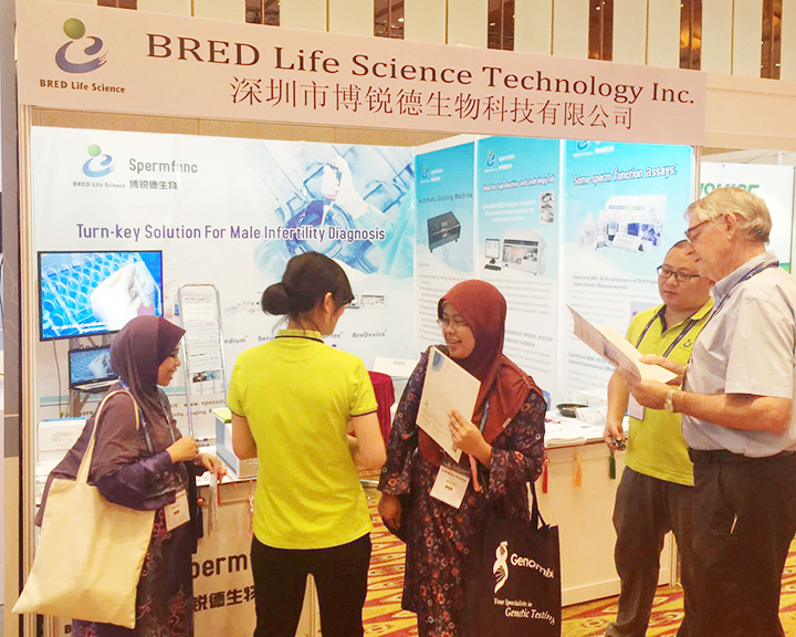 开云体云app官网入口