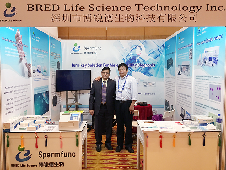 开云体云app官网入口