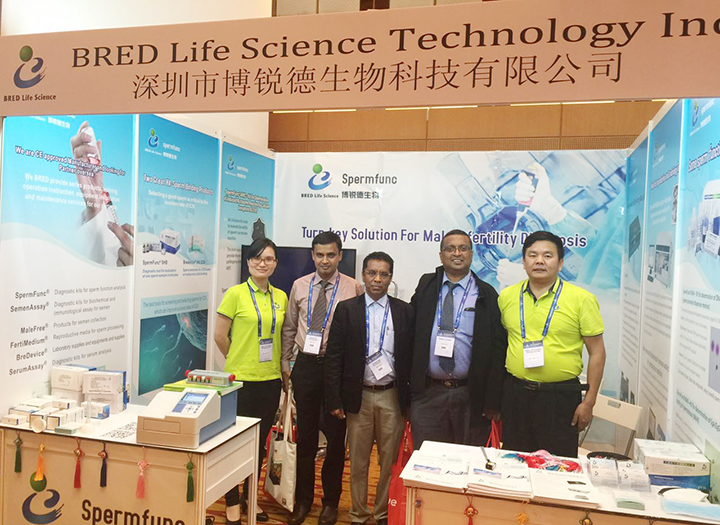 开云体云app官网入口