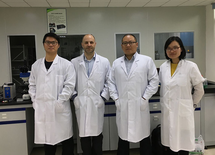 开云体云app官网入口