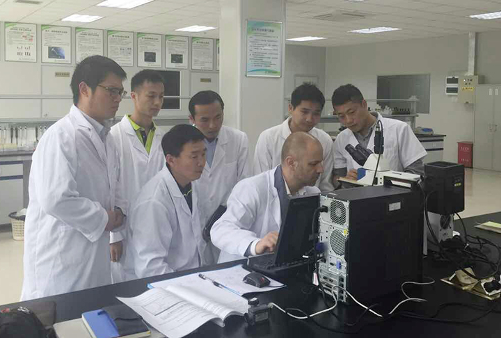 开云体云app官网入口