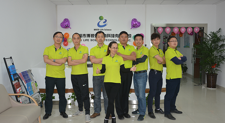 开云体云app官网入口