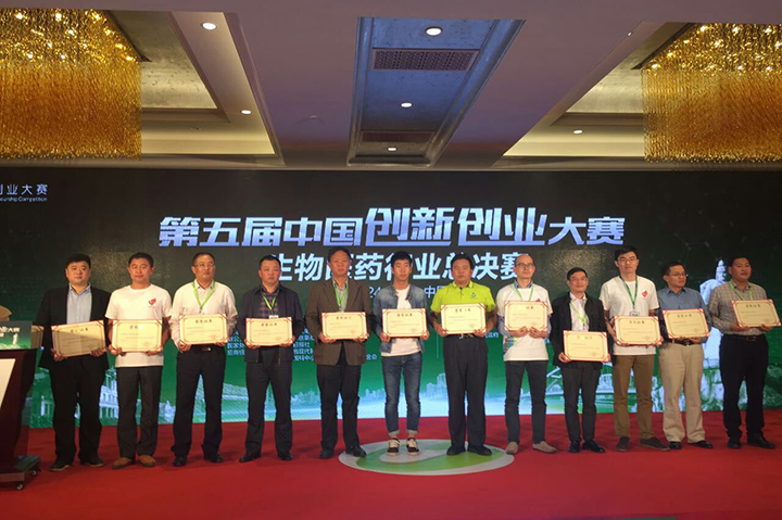 开云体云app官网入口