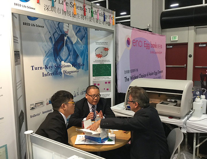 开云体云app官网入口