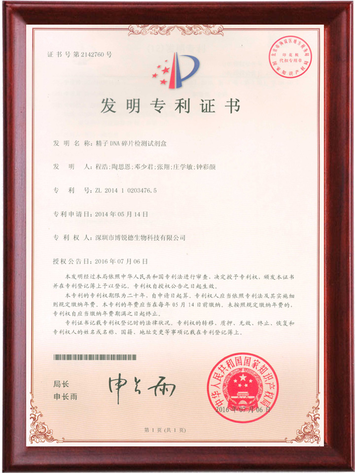 开云体云app官网入口