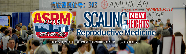 开云体云app官网入口