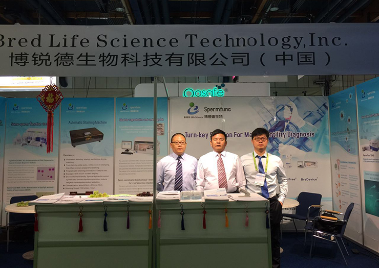 开云体云app官网入口