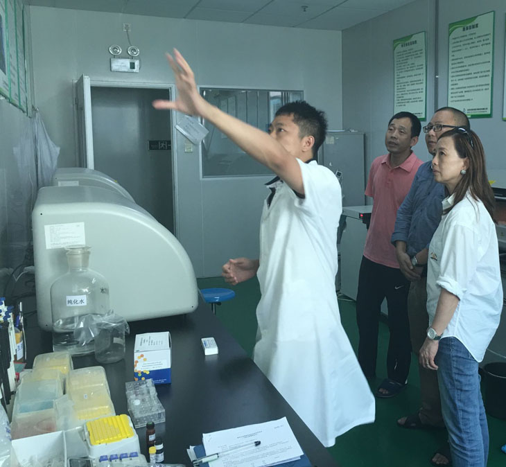 开云体云app官网入口