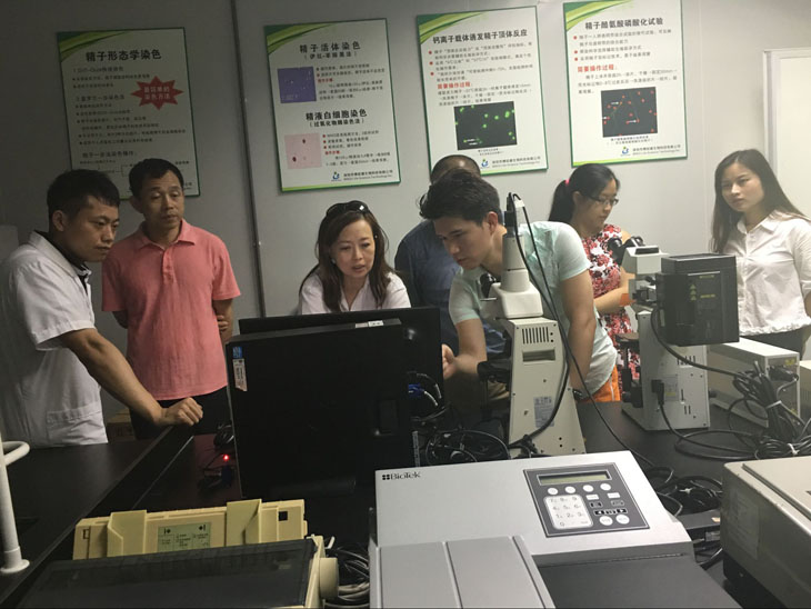 开云体云app官网入口