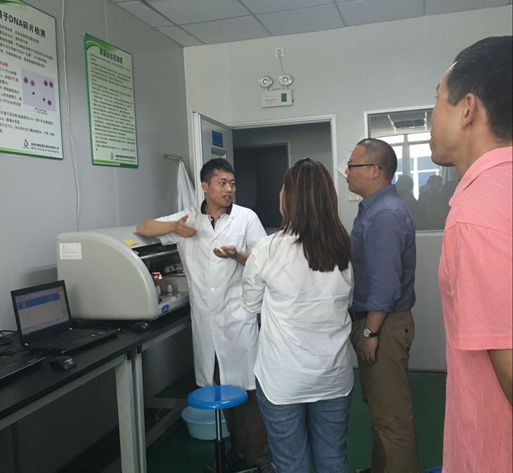 开云体云app官网入口