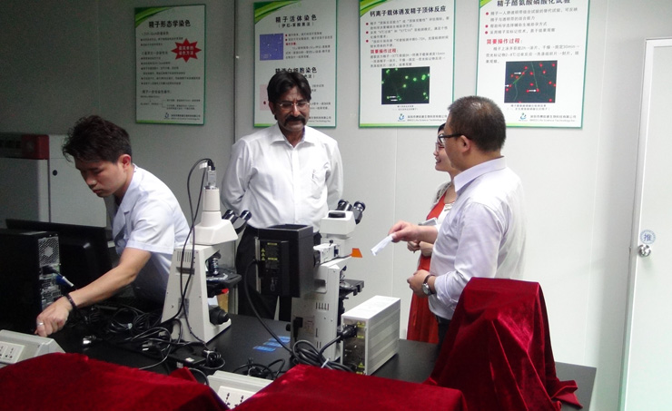 开云体云app官网入口