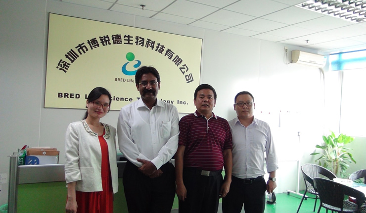 开云体云app官网入口