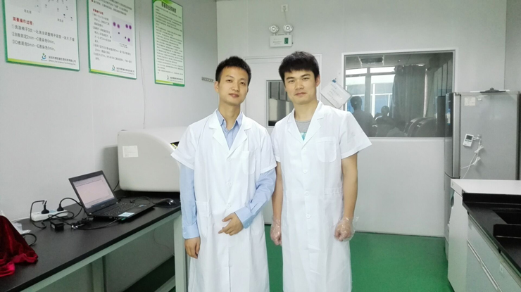 开云体云app官网入口