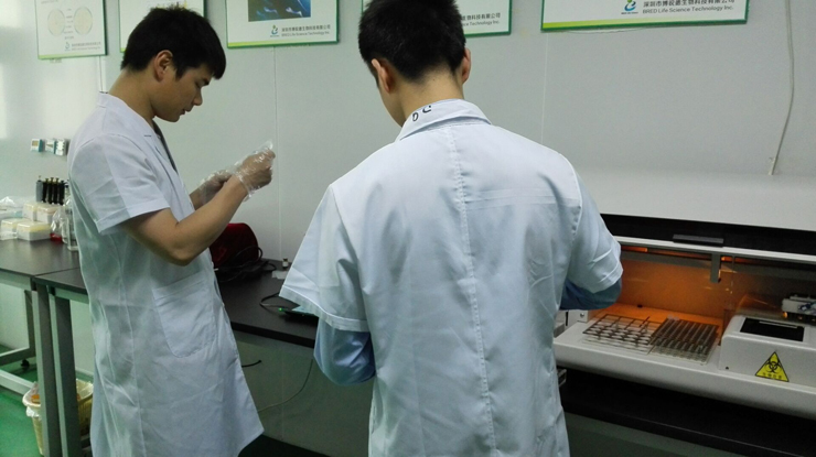 开云体云app官网入口