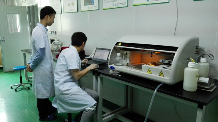 开云体云app官网入口