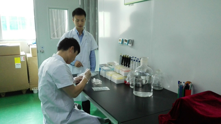 开云体云app官网入口