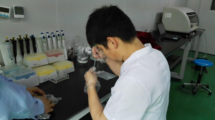 开云体云app官网入口