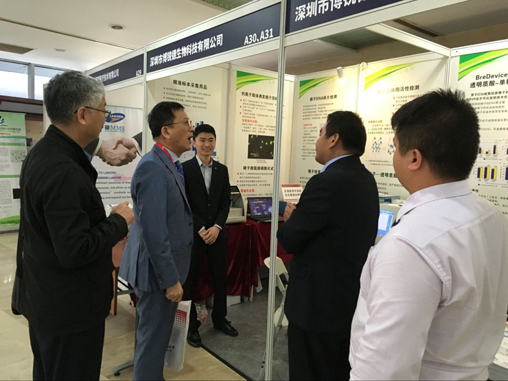 开云体云app官网入口