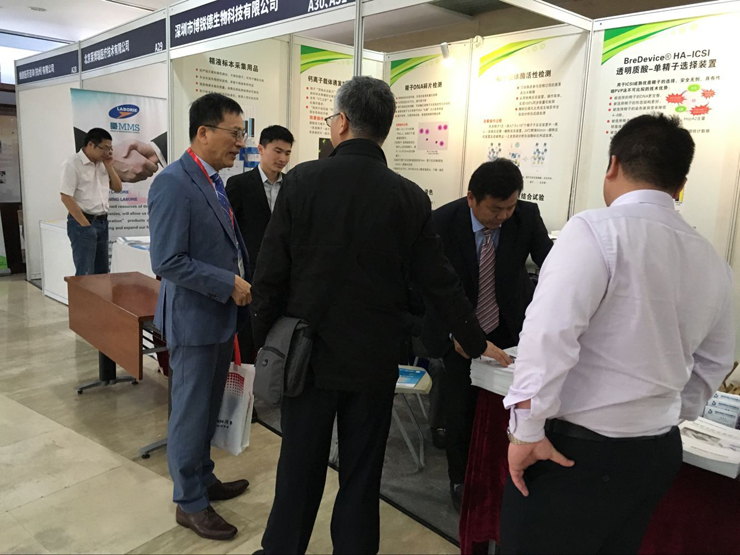 开云体云app官网入口