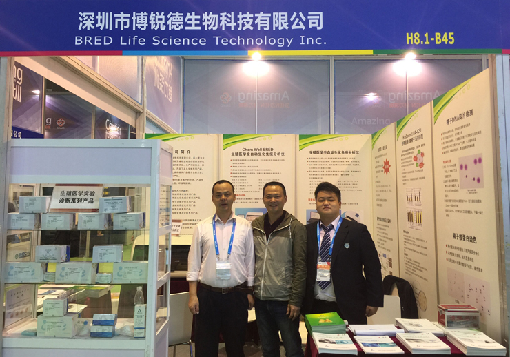 开云体云app官网入口