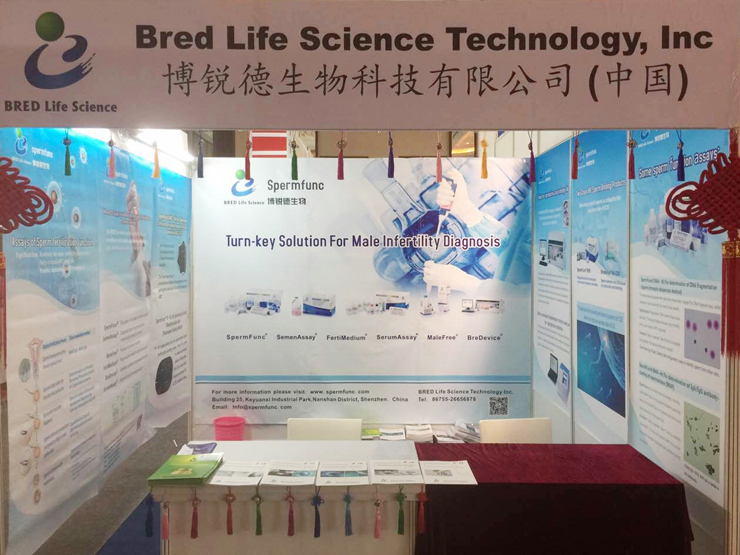 开云体云app官网入口