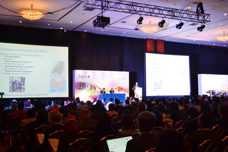 开云体云app官网入口