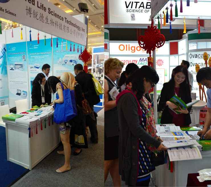 开云体云app官网入口