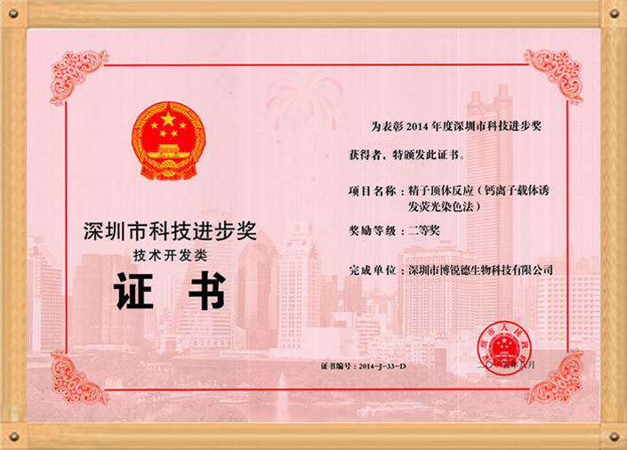 开云体云app官网入口