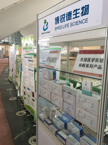 开云体云app官网入口