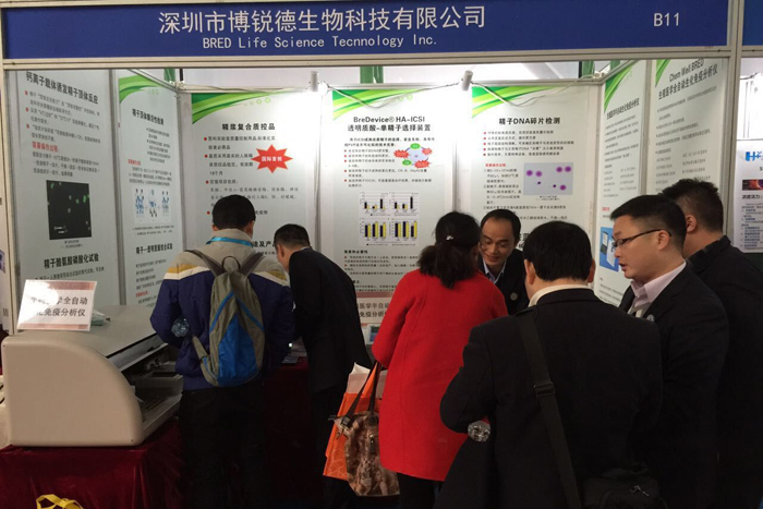 开云体云app官网入口