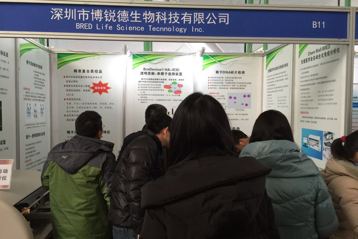 开云体云app官网入口