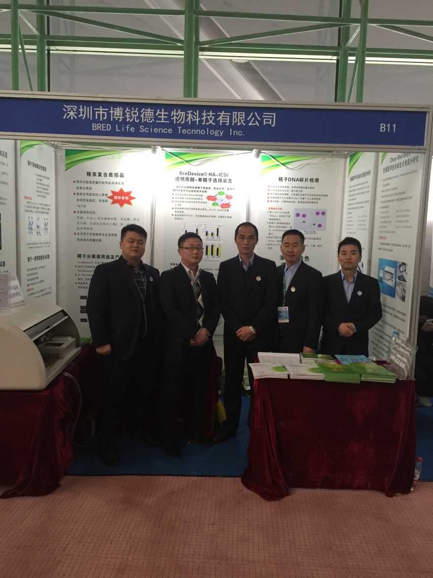 开云体云app官网入口