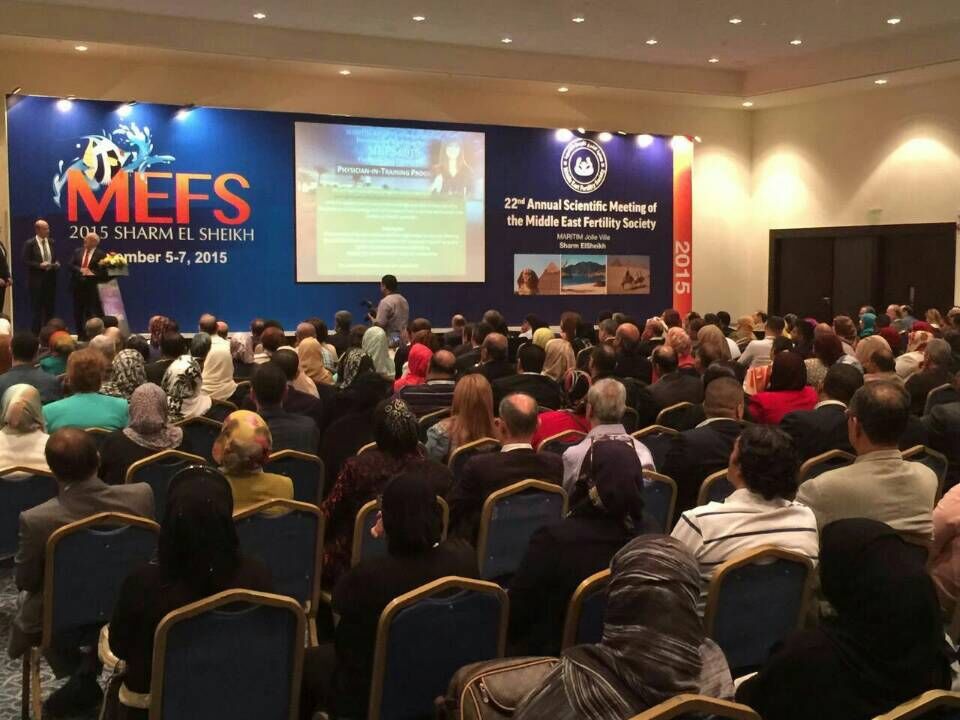 开云体云app官网入口