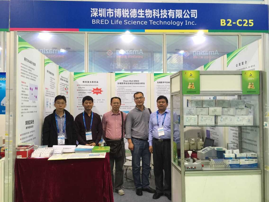 开云体云app官网入口