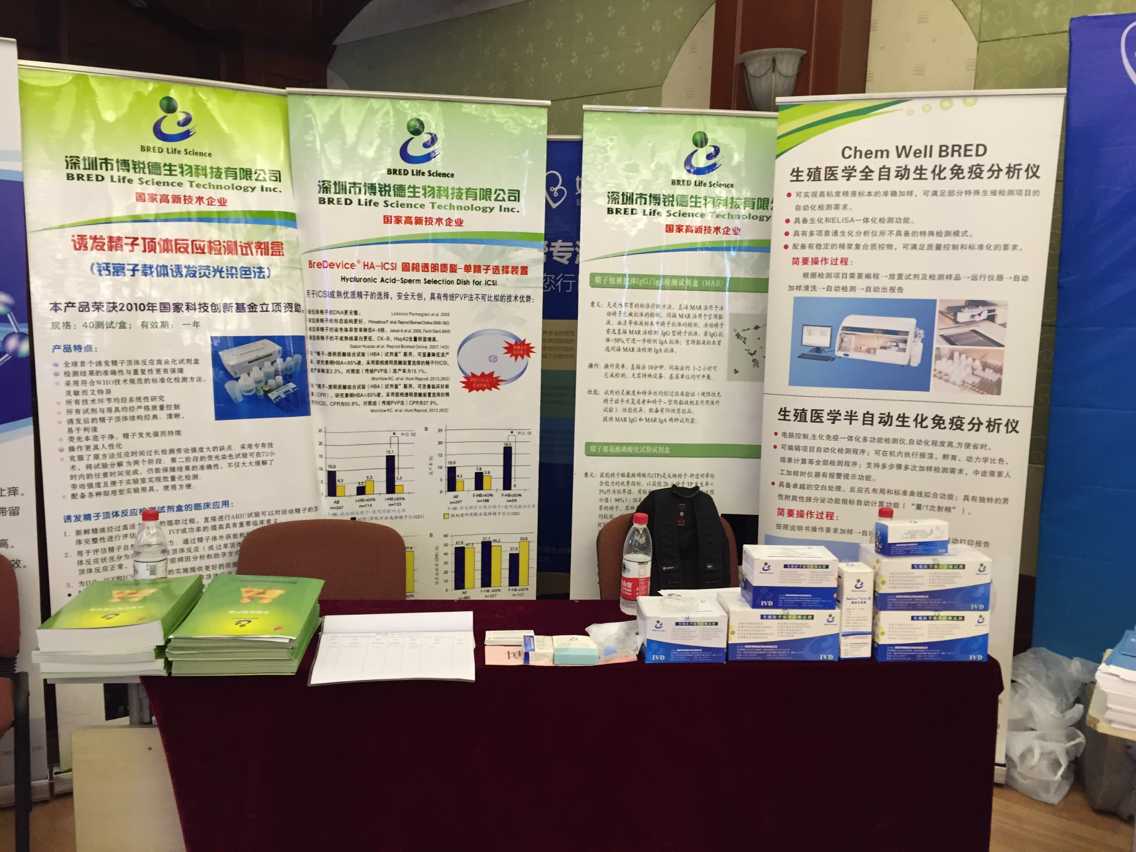 开云体云app官网入口