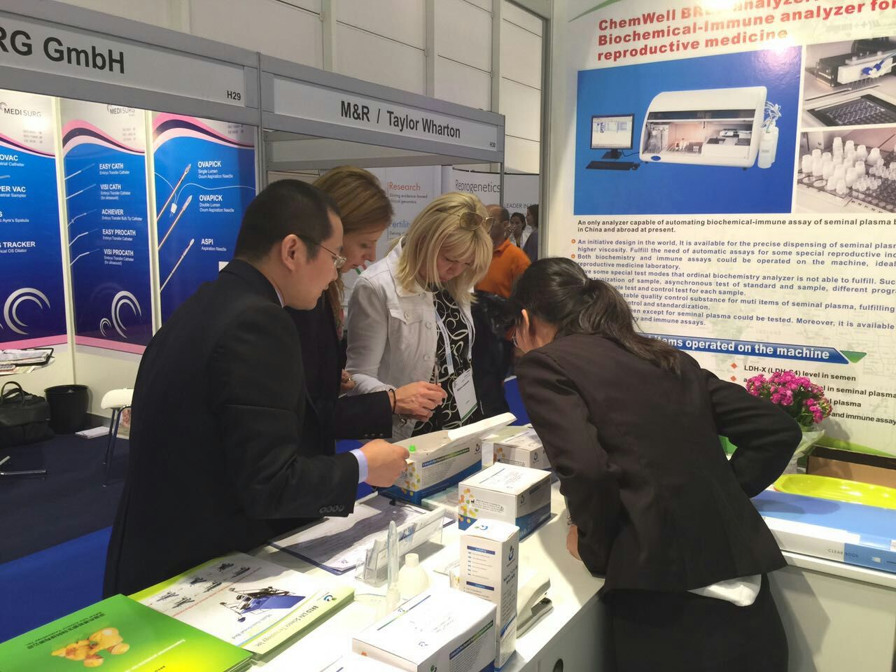 开云体云app官网入口