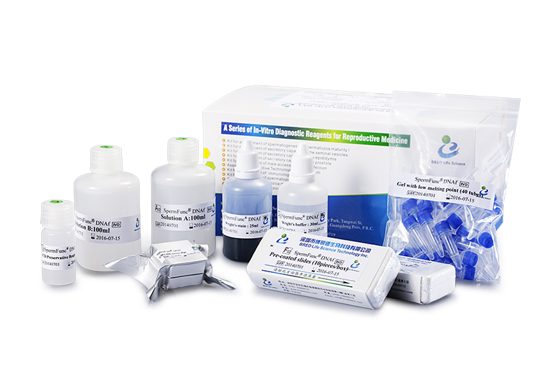 开云体云app官网入口