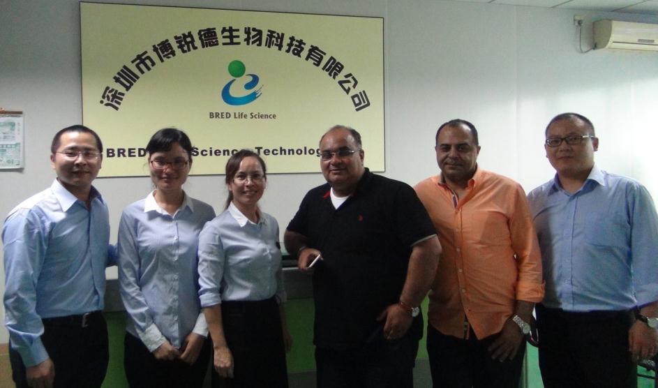 开云体云app官网入口