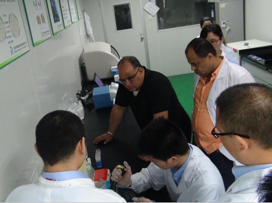 开云体云app官网入口