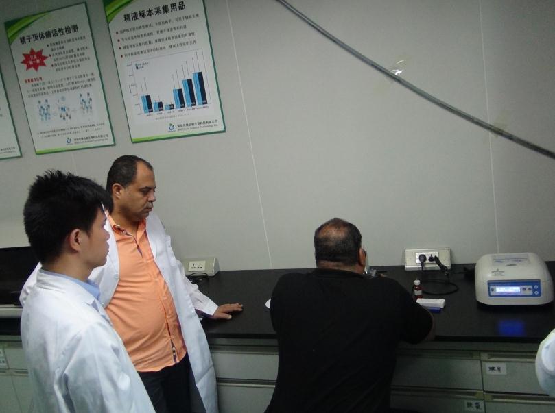 开云体云app官网入口