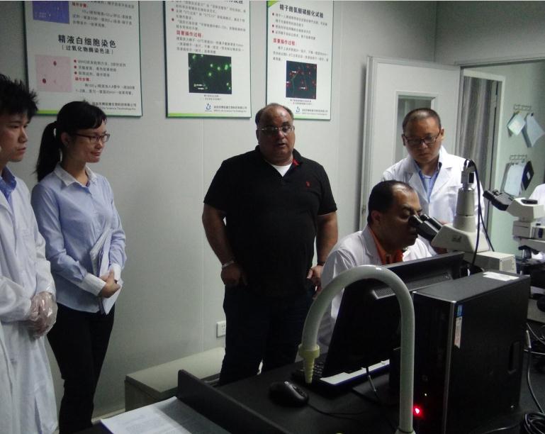 开云体云app官网入口