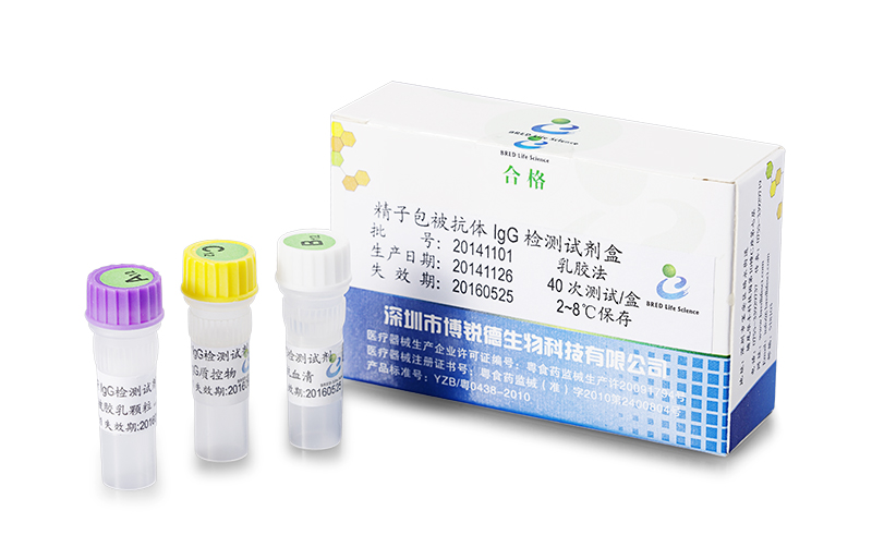 开云体云app官网入口