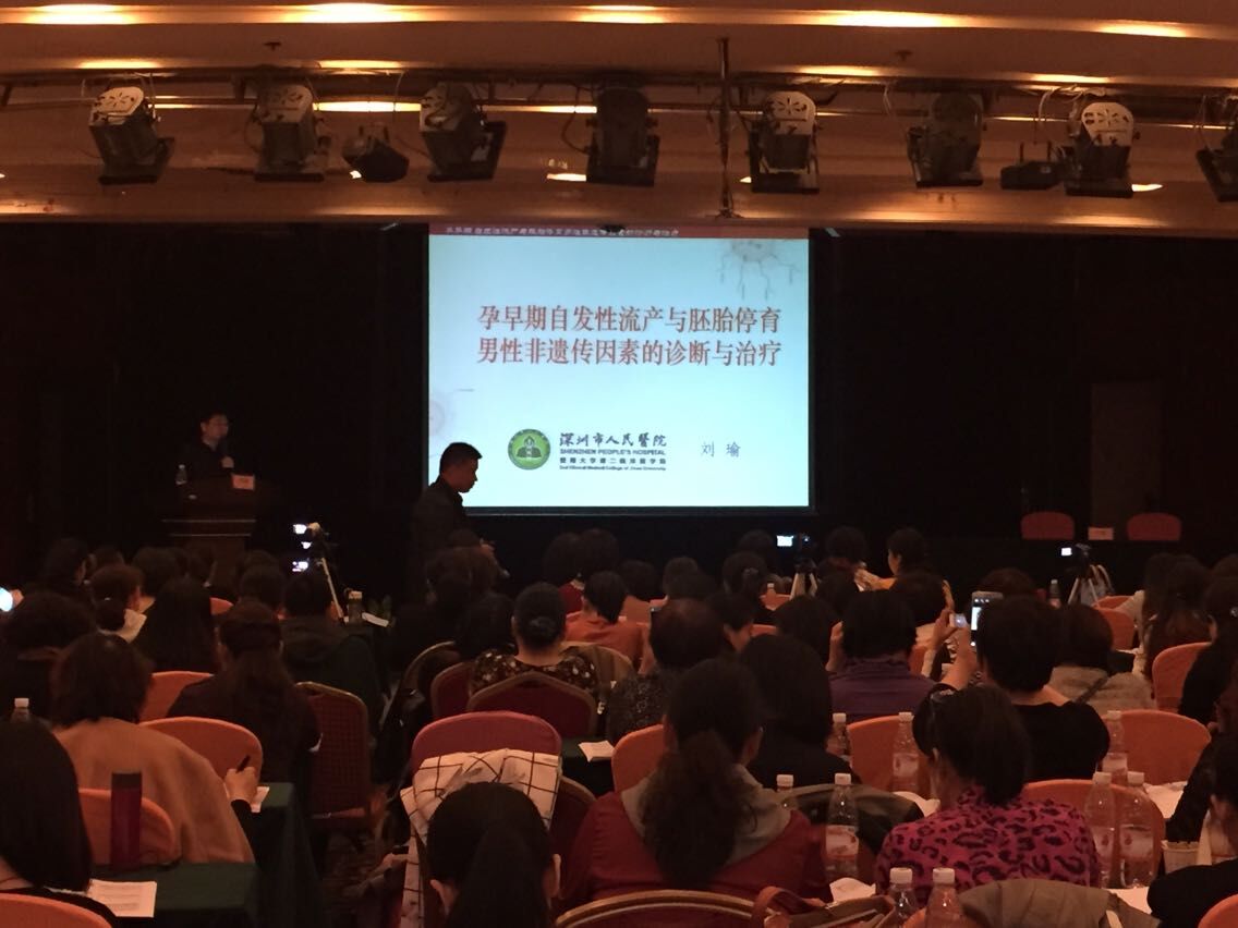 开云体云app官网入口